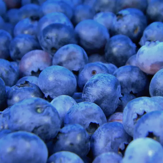 PCOS, Insulin Resistance and Diabetes